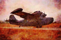 450064 Grumman, Goose, World War II, Roanoke, Texas A4 Limited Edition Watercolour Print