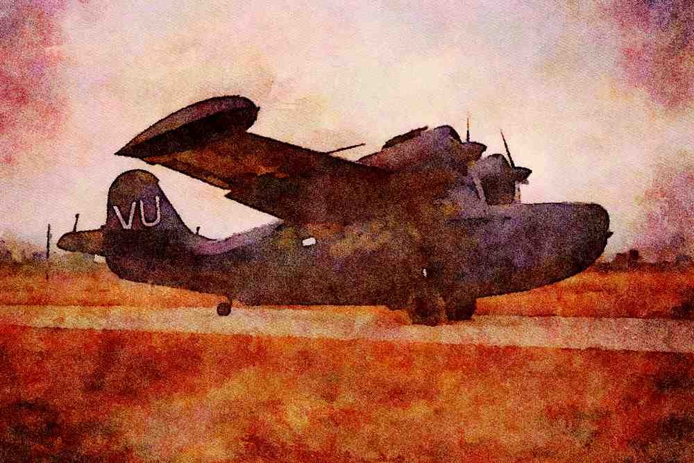 450064 Grumman, Goose, World War II, Roanoke, Texas A4 Limited Edition Watercolour Print