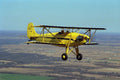 450065 Rose, Parakeet, 1975, Justin, Texas A4 Photo Print