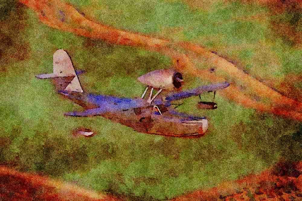 450074 Fleetwing, Seabird, 1936, Merced, California A4 Limited Edition Watercolour Print