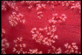 452044 Red Sea Soft Corals A4 Photo Print