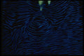 452047 The Mantle Of A Tridacna Clam A4 Photo Print