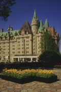 454008 Yellow Tulips And Chateau Laurier, Ottawa, Ontario A4 Photo Print