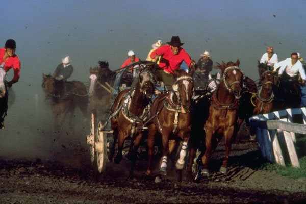 454074 Chuckwagon Race, High River, Alberta A4 Photo Print