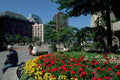 454094 Park Area, Vancouver, British Columbia A4 Photo Print