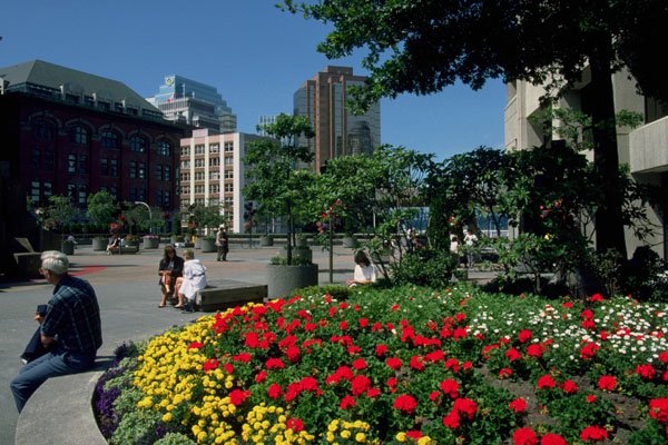 454094 Park Area, Vancouver, British Columbia A4 Photo Print