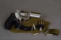 456055 Ruger SP101, .357 Magnum, Five shot, Double action Revolver A4 Photo Print