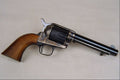 456064 Ruger .22 Cal. Single action Revolver A4 Photo Print