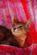 458002 Abyssinian, Blue A4 Limited Edition Watercolour Print