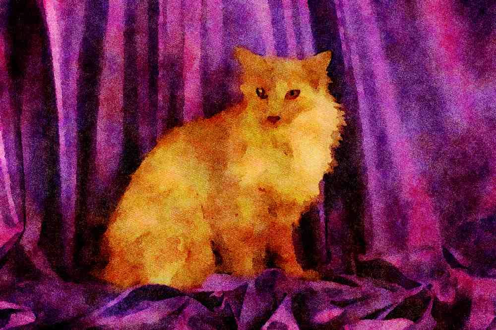 458005 Angora, Lilac A4 Limited Edition Watercolour Print