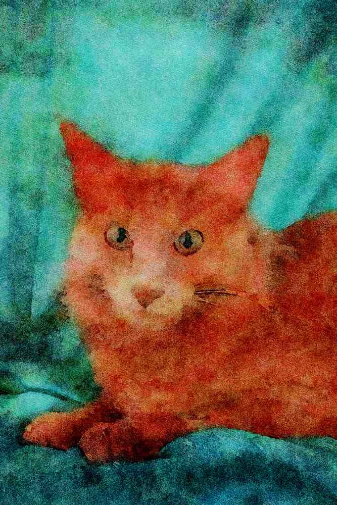 458006 Angora, Lilac A4 Limited Edition Watercolour Print