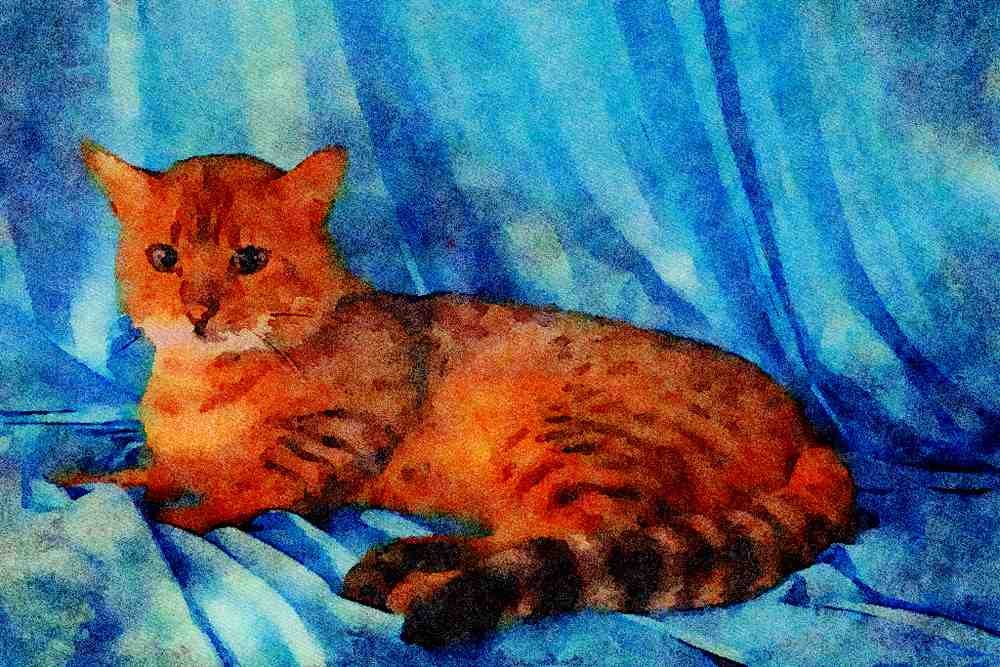 458010 Bengal A4 Limited Edition Watercolour Print