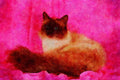 458013 Birman, Seal Point A4 Limited Edition Watercolour Print