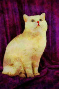458021 British Shorthair, White A4 Limited Edition Watercolour Print