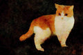 458022 British Shorthair, Cream And White A4 Limited Edition Watercolour Print