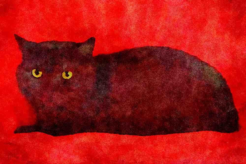 458023 British Shorthair, Black Smoke A4 Limited Edition Watercolour Print
