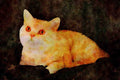 458027 British Shorthair, Red Silver Tabby A4 Limited Edition Watercolour Print