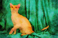 458029 Burmese, Red A4 Limited Edition Watercolour Print