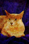 458032 Burmese, Blue A4 Limited Edition Watercolour Print