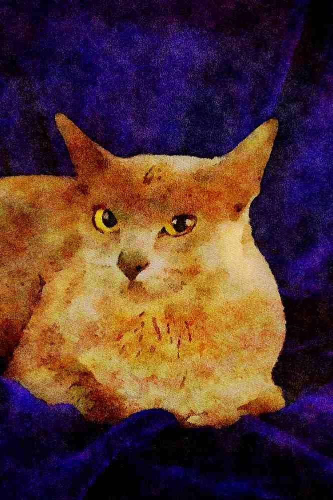 458032 Burmese, Blue A4 Limited Edition Watercolour Print