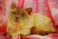 458037 Colorpoint Shorthair, Lilac Colorpoint A4 Limited Edition Watercolour Print
