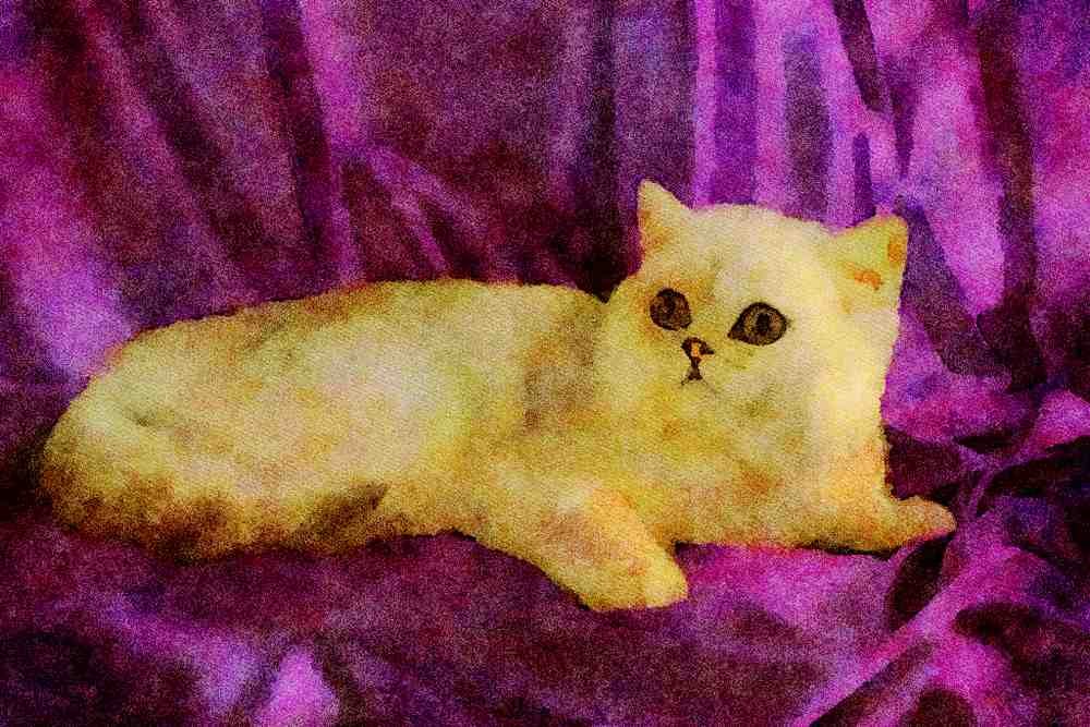 458038 Exotic, Silver A4 Limited Edition Watercolour Print