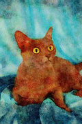 458040 Korat A4 Limited Edition Watercolour Print