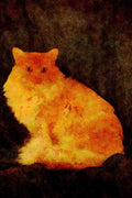 458042 Maine Coon, Red Shaded A4 Limited Edition Watercolour Print