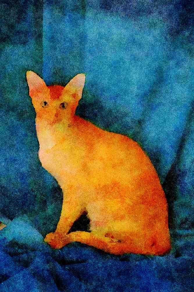 458049 Foreign Oriental, Red Ticked A4 Limited Edition Watercolour Print