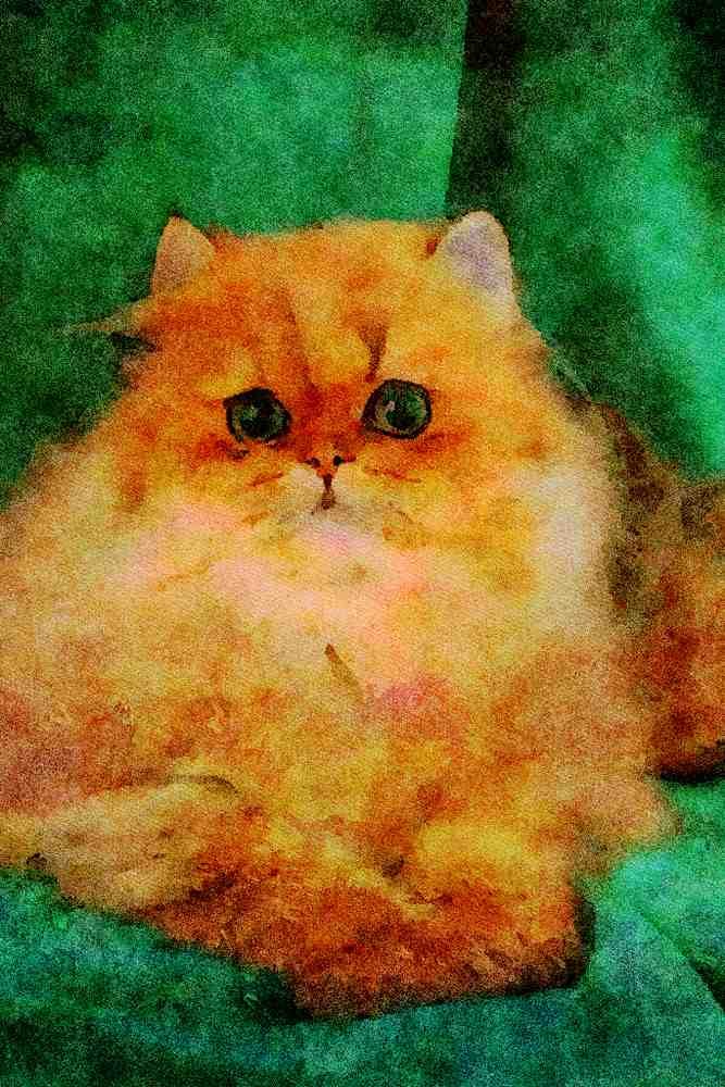 458056 Persian, Golden A4 Limited Edition Watercolour Print