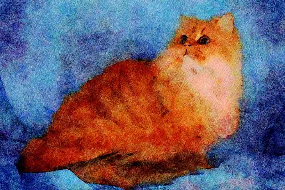 458057 Persian, Golden A4 Limited Edition Watercolour Print