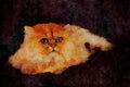 458058 Persian, Golden A4 Limited Edition Watercolour Print