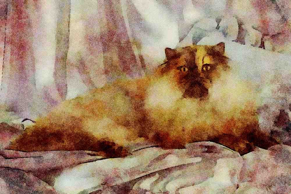 458061 Persian, Tortie Smoke A4 Limited Edition Watercolour Print