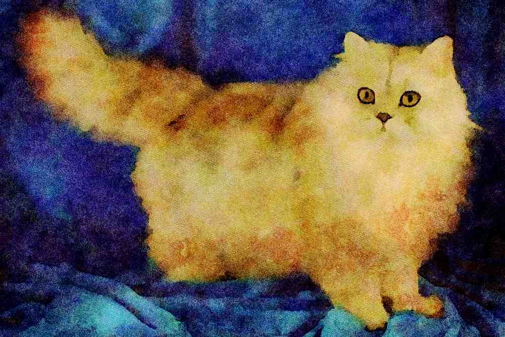 458062 Persian, Pewter A4 Limited Edition Watercolour Print