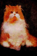 458063 Persian, Red And White Bi color A4 Limited Edition Watercolour Print