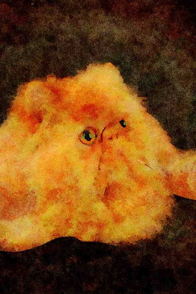458065 Persian, Red A4 Limited Edition Watercolour Print