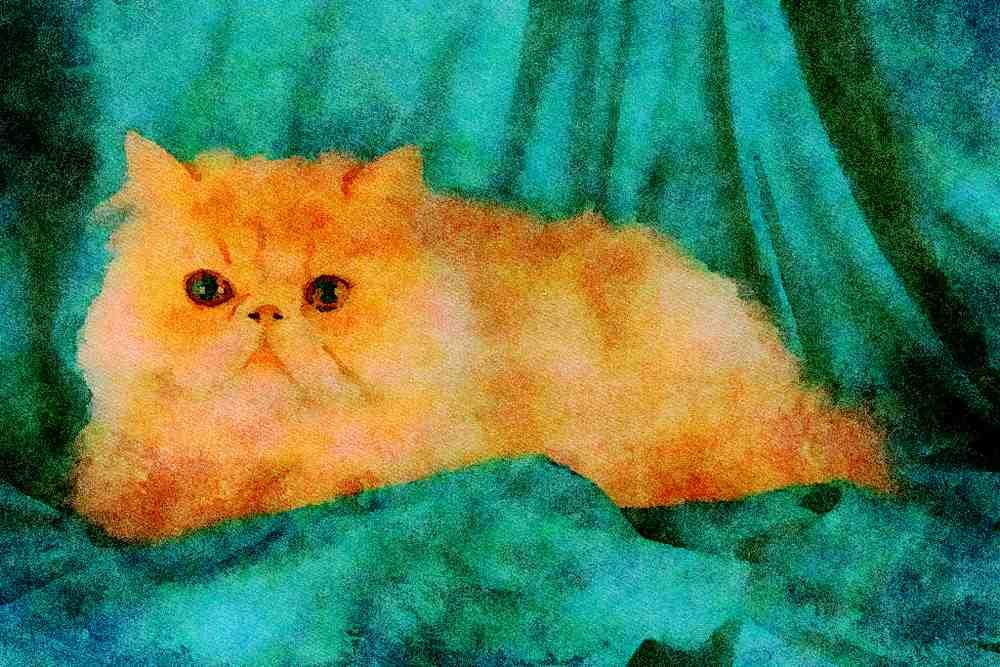 458067 Persian, Cream A4 Limited Edition Watercolour Print