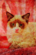 458071 Ragdoll, Seal Bi color A4 Limited Edition Watercolour Print