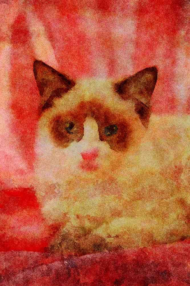 458071 Ragdoll, Seal Bi color A4 Limited Edition Watercolour Print