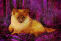458073 Ragdoll, Blue Point A4 Limited Edition Watercolour Print