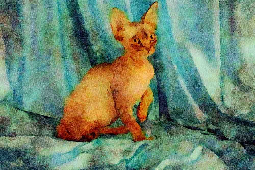 458078 Rex, Brown Tabby A4 Limited Edition Watercolour Print
