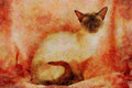 458085 Siamese, Chocolate Point A4 Limited Edition Watercolour Print