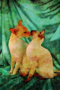 458086 Siamese, Red Point & Seal Point A4 Limited Edition Watercolour Print