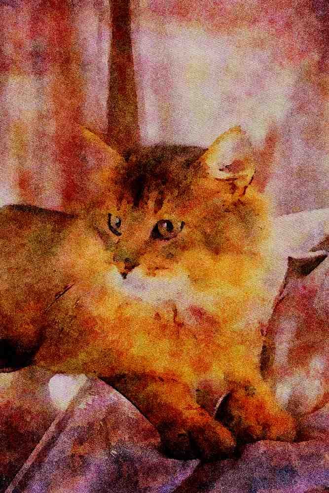 458090 Somali, Usual A4 Limited Edition Watercolour Print
