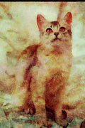 458091 Somali, Silver A4 Limited Edition Watercolour Print