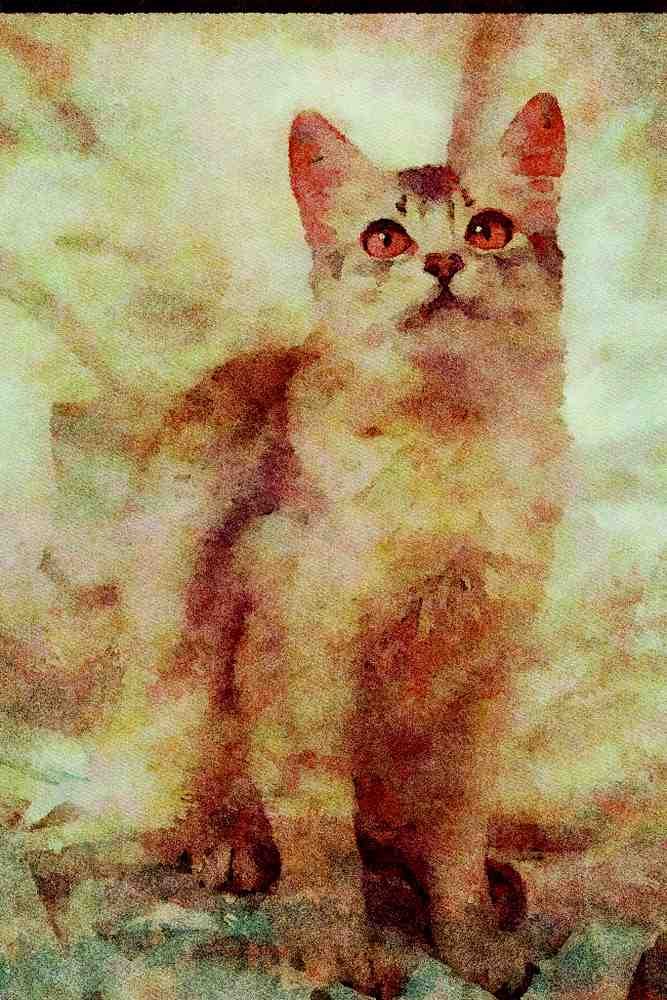 458091 Somali, Silver A4 Limited Edition Watercolour Print