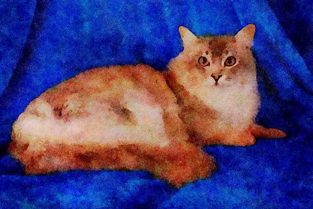 458095 Tiffanie, Blue Shaded A4 Limited Edition Watercolour Print