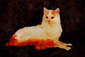 458097 Turkish Van A4 Limited Edition Watercolour Print
