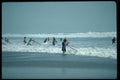 459004 Net Fishing, Ecuador A4 Photo Print