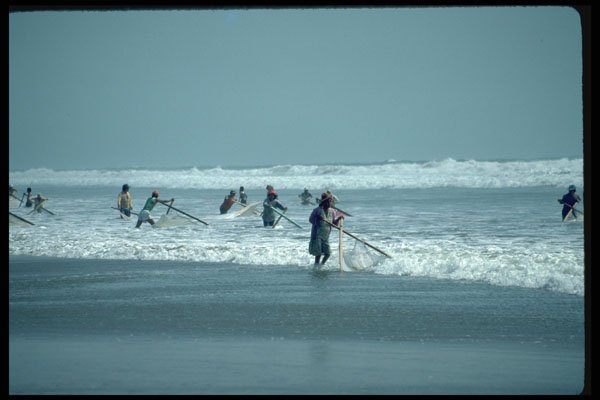 459004 Net Fishing, Ecuador A4 Photo Print